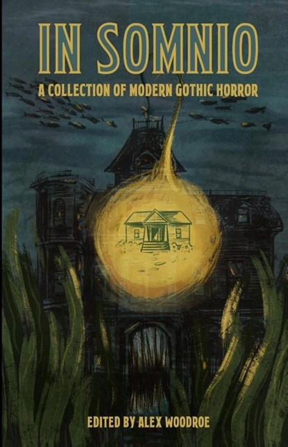 In Somnio, Alex Woodroe - Paperback - 9781737982395