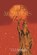 The Arcalypsis Flame, D J Smith - Paperback - 9781738051540