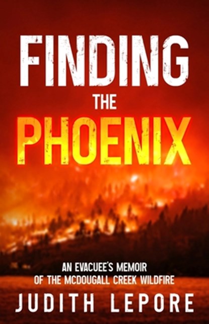 Finding the Phoenix, Judith Hutchinson - Paperback - 9781738277810