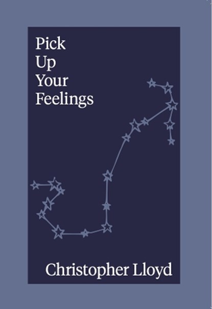 Pick Up Your Feelings, Christopher Lloyd - Paperback - 9781738487103