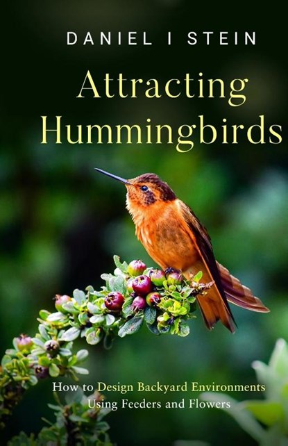 Attracting Hummingbirds, Daniel I Stein - Paperback - 9781738684656