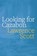 Looking for Cazabon, Lawrence Scott - Paperback - 9781739130367