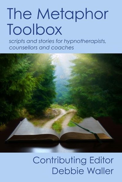 The Metaphor Toolbox, Debbie Waller - Paperback - 9781739157302