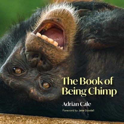 The Book of Being Chimp, Adrian Cale - Gebonden - 9781739220501