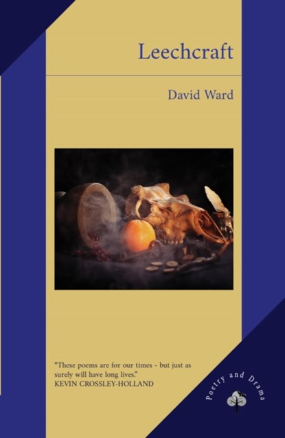 Leechcraft, David Ward - Paperback - 9781739323950