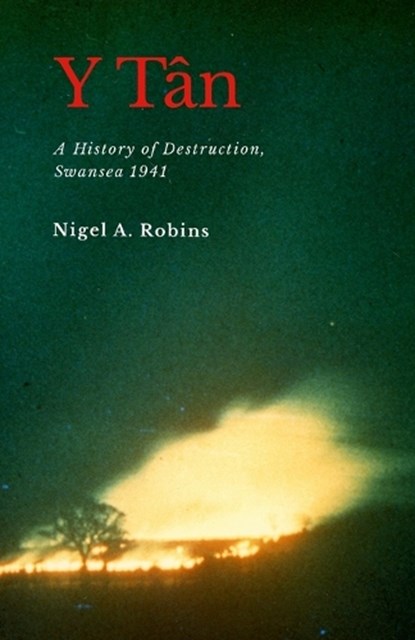 Y Tân, Nigel A Robins - Paperback - 9781739353346