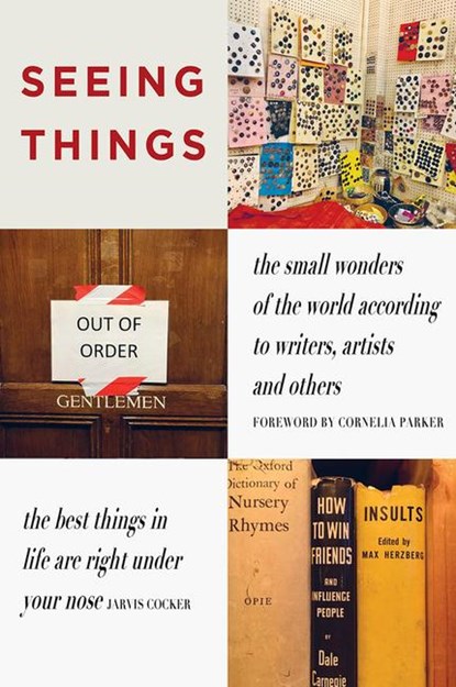 SEEING THINGS, julian rothenstein - Paperback Gebonden - 9781739597627