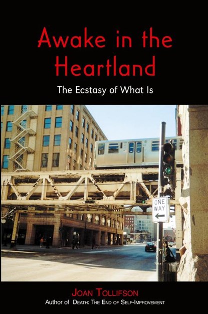 Awake in the Heartland, Joan Tollifson - Paperback - 9781739724900