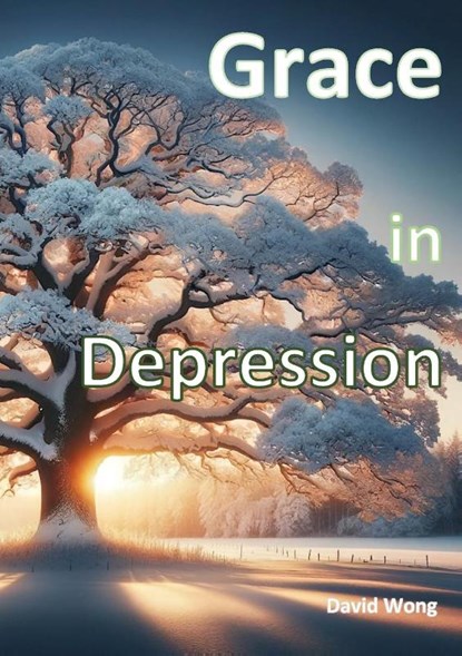 Grace in Depression, David Tze Wan Wong - Paperback - 9781739767020