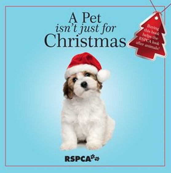A Pet Isn't Just for Christmas