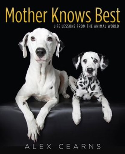 Mother Knows Best, Alex Cearns - Ebook - 9781743484692
