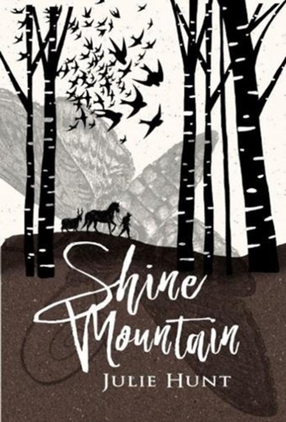 Shine Mountain, Julie Hunt - Paperback - 9781760634780