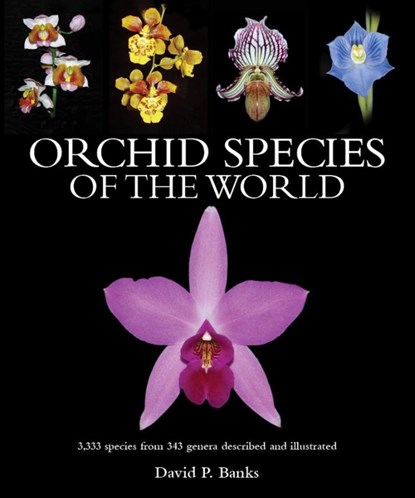 Banks, D: Orchid Species of the World, David P. Banks - Gebonden - 9781760796396