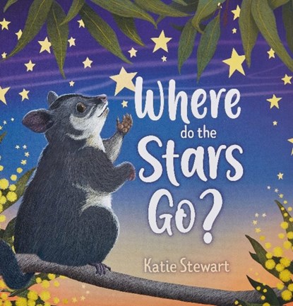 Where do the stars go?, Katie Stewart - Gebonden - 9781760990480