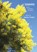 Leaves, Amelia Fielden - Paperback - 9781761093982