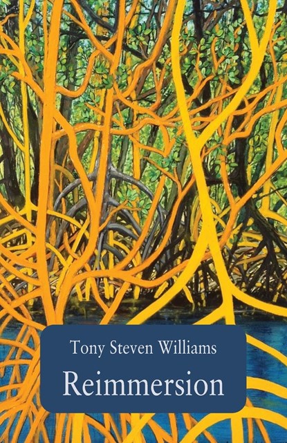 Reimmersion, Tony Steven Williams - Paperback - 9781761094897