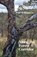 Along the Forest Corridor, Paul Williamson - Paperback - 9781761095894