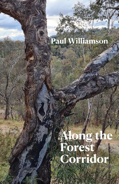 Along the Forest Corridor, Paul Williamson - Paperback - 9781761095894