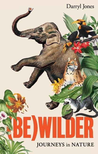 (Be)wilder, Darryl Jones - Paperback - 9781761170386