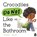 Crocodiles Do Not Like the Bathroom, Ali Rutstein - Gebonden - 9781761216015