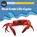 Science: Growing - Red Crab Life Cycle, L. Tan - Paperback - 9781761406287