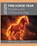 2026 FIRE HORSE YEAR, Michele Castle - Paperback - 9781763799691