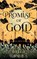Promise Of Gold, Alice Cornelius - Paperback - 9781764090995