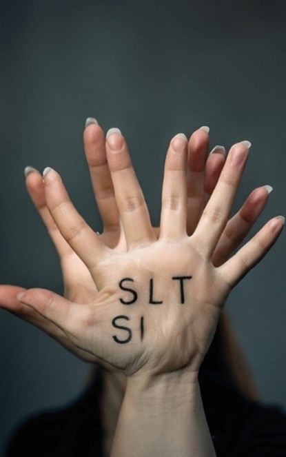 Silt, Jon Roffe - Paperback - 9781764234634