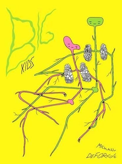 Big Kids, Michael DeForge - Gebonden - 9781770462243