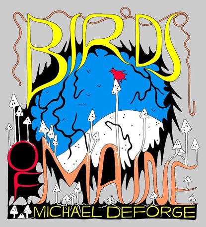 Birds of Maine, Michael DeForge - Gebonden - 9781770465664