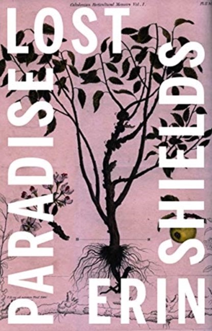 Paradise Lost, Erin Shields - Paperback - 9781770919334