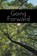 Going Forward, BRADLEY,  Phillip W. - Paperback - 9781770977839