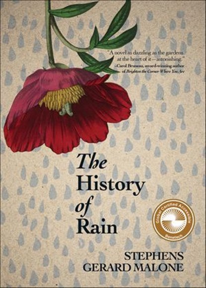 The History of Rain, Stephens Gerard Malone - Ebook - 9781771089807