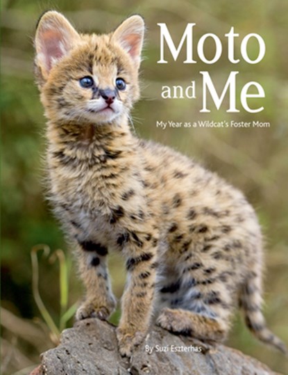 Moto and Me: My Year as a Wildcat's Foster Mom, Suzi Eszterhas - Paperback - 9781771474269