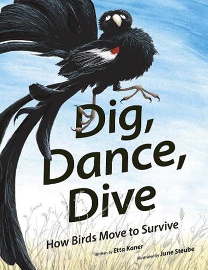 DIG DANCE DIVE, Etta Kaner - Gebonden - 9781771474399