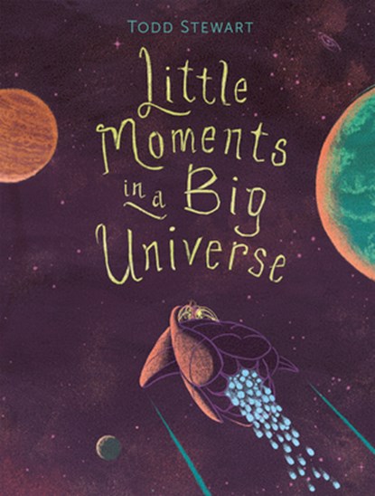 Little Moments in a Big Universe, Todd Stewart - Gebonden - 9781771475907