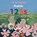 Prairie 123s, Jocey Asnong - Gebonden - 9781771605311