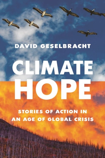 Climate Hope, David Geselbracht - Paperback - 9781771624268