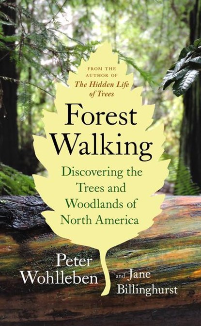 FOREST WALKING, Peter Wohlleben - Paperback - 9781771643313