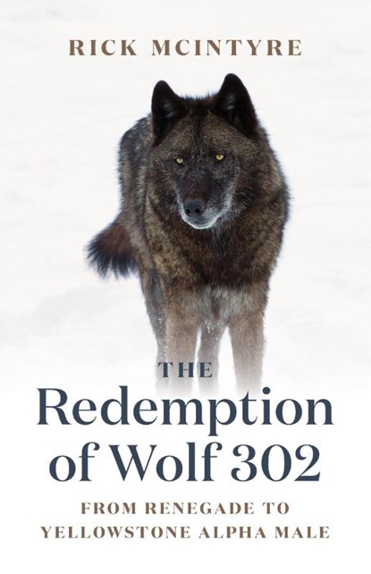 The Redemption of Wolf 302, Rick McIntyre - Gebonden - 9781771645270