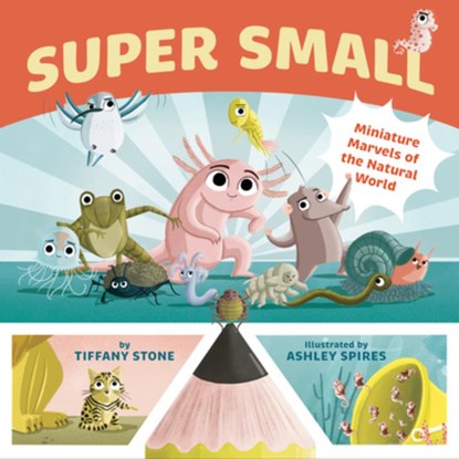 Super Small, Tiffany Stone - Gebonden - 9781771646567