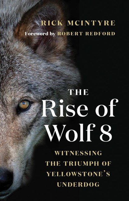 The Rise of Wolf 8, Rick McIntyre - Paperback - 9781771647809