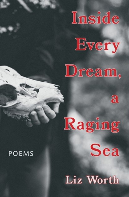 Inside Every Dream, a Raging Sea, Liz Worth - Paperback - 9781771669092