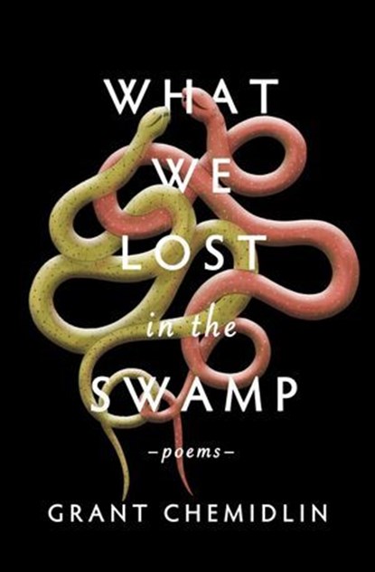 What We Lost in the Swamp, Grant Chemidlin - Ebook - 9781771682909