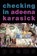Checking In, Adeena Karasick - Paperback - 9781772012002
