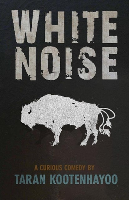 White Noise, Taran Kootenhayoo - Paperback - 9781772015577