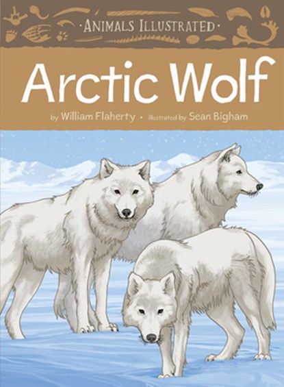 Animals Illustrated: Arctic Wolf, niet bekend - Gebonden - 9781772272130