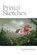 Primal Sketches, WONG,  Caroline - Paperback - 9781773240862