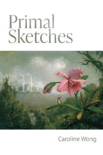 Primal Sketches, WONG,  Caroline - Paperback - 9781773240862