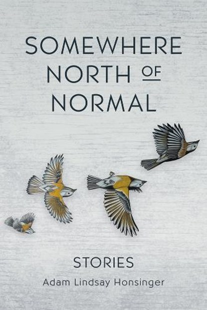 Somewhere North of Normal, HONSINGER,  Adam Lindsay - Paperback - 9781773370064